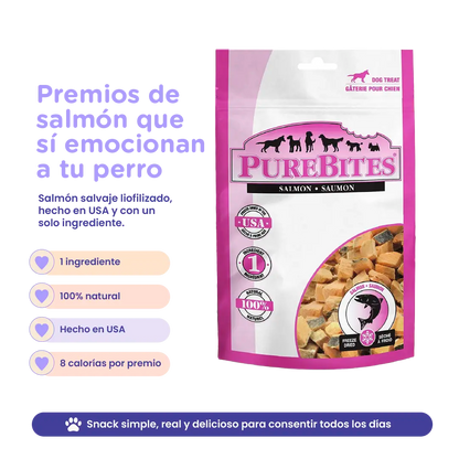 PureBites Freeze-Dried Salmon Dog Treats — Single Ingredient
