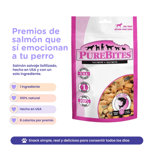 PureBites Freeze-Dried Salmon Dog Treats — Single Ingredient
