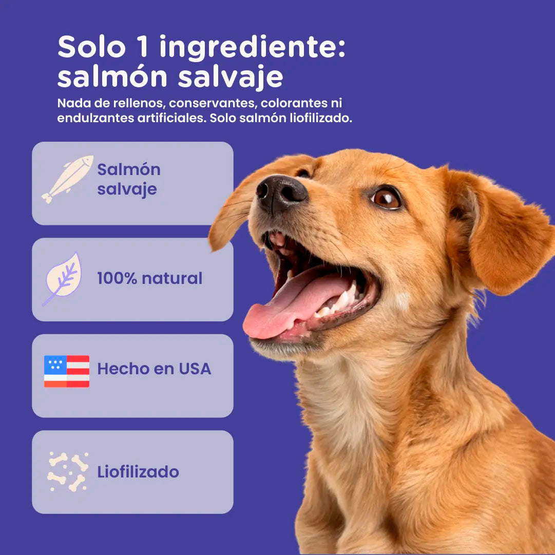 PureBites Freeze-Dried Salmon Dog Treats — Single Ingredient