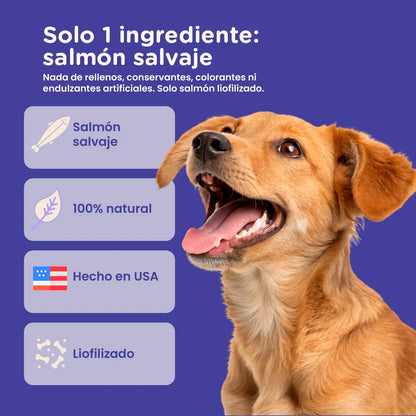 PureBites Freeze-Dried Salmon Dog Treats — Single Ingredient