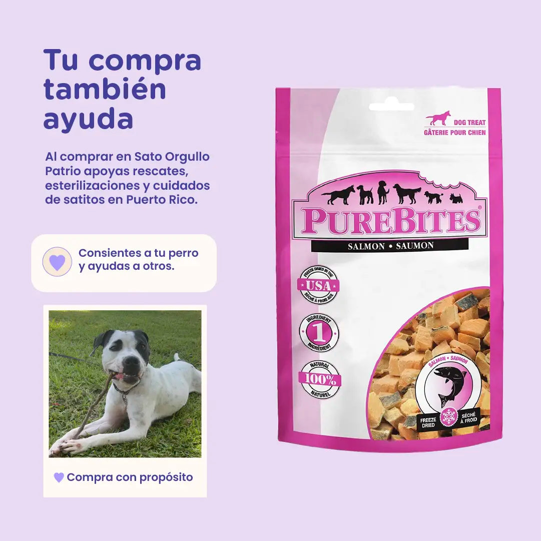 PureBites Freeze-Dried Salmon Dog Treats — Single Ingredient