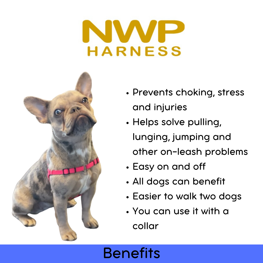 SENSE-ation No-Pull Dog Harness