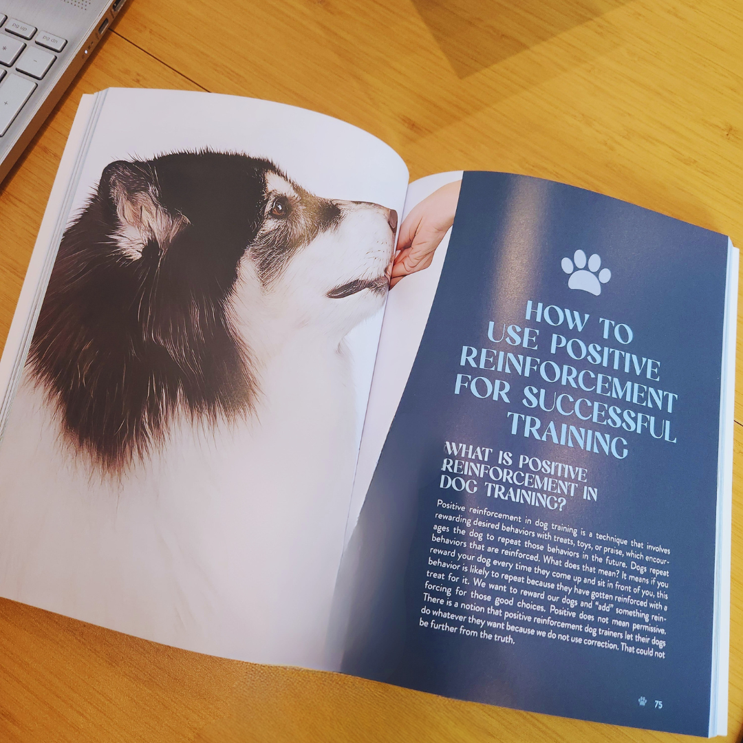Dog Training Made Simple — The New Owner's Guide to Positive Reinforcement Training