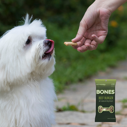 Spunky Pup Snack Pack Dog Treats — 2.5 oz Grab & Go Bags