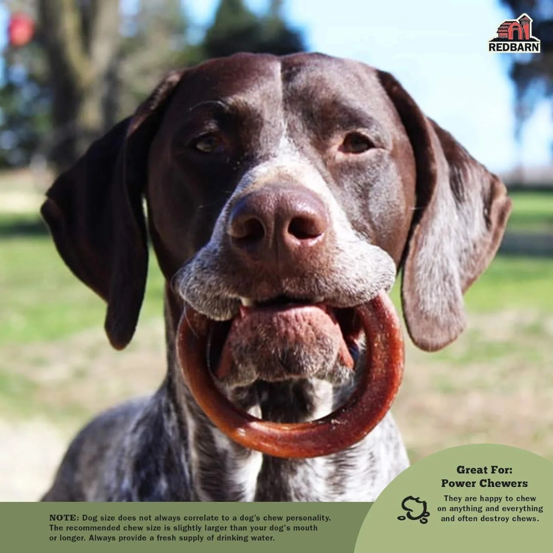 Redbarn Bully Ring for Dogs — Grass-Fed Beef Pizzle