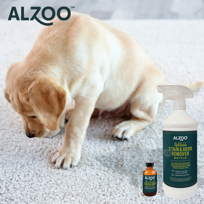 ALZOO Concentrated Enzyme Stain & Odor Remover + Refillable Bottle
