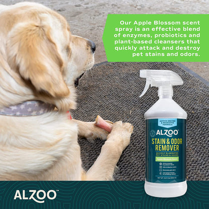 ALZOO Stain & Odor Remover Spray — Apple Blossom