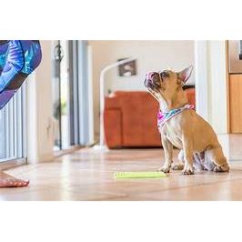 LickiMat Classic Soother Lick Mat for Dogs
