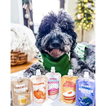 Bark Bistro Pumpkin Pup Buddy Budder Squeeze Packs — Trio, 3 x 4 oz