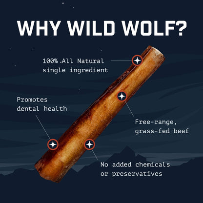 Wild Wolf 12" Angus Bully Sticks — 100% Natural Grass-Fed Dog Chews