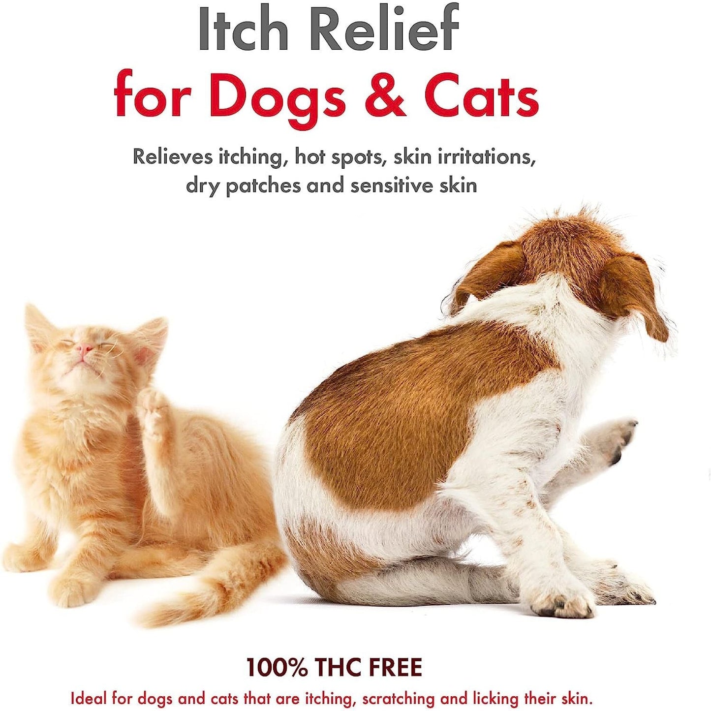 Petkin CBD Pet Itch Spray — Calming Lavender