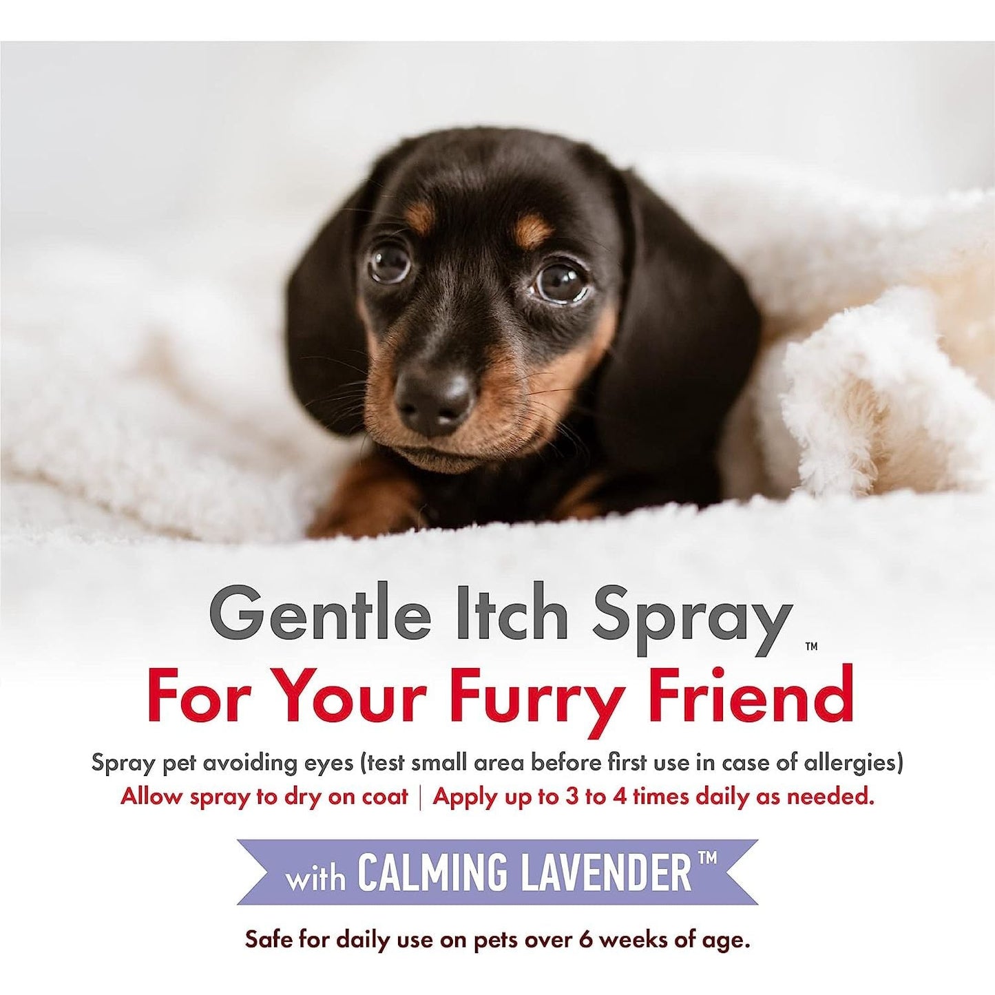 Petkin CBD Pet Itch Spray — Calming Lavender