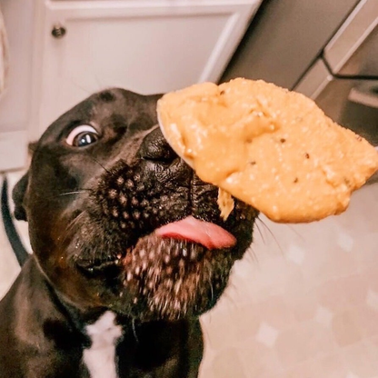 Bark Bistro Bangin' Bacon Buddy Budder — 100% Natural Dog Peanut Butter, 17 oz
