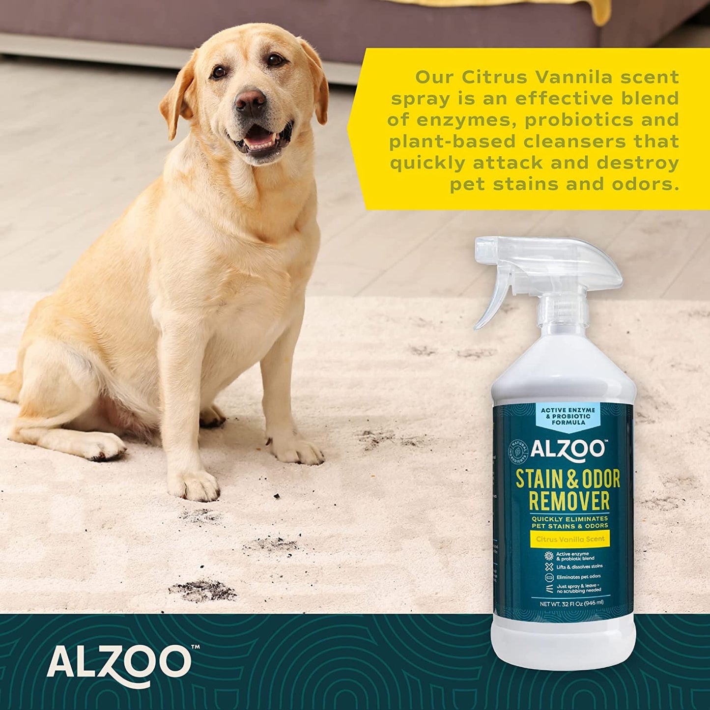 ALZOO Stain & Odor Remover Spray — Citrus Vanilla