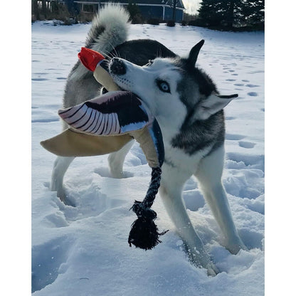 Spunky Pup Fly & Fetch Plush Bungee Dog Toy