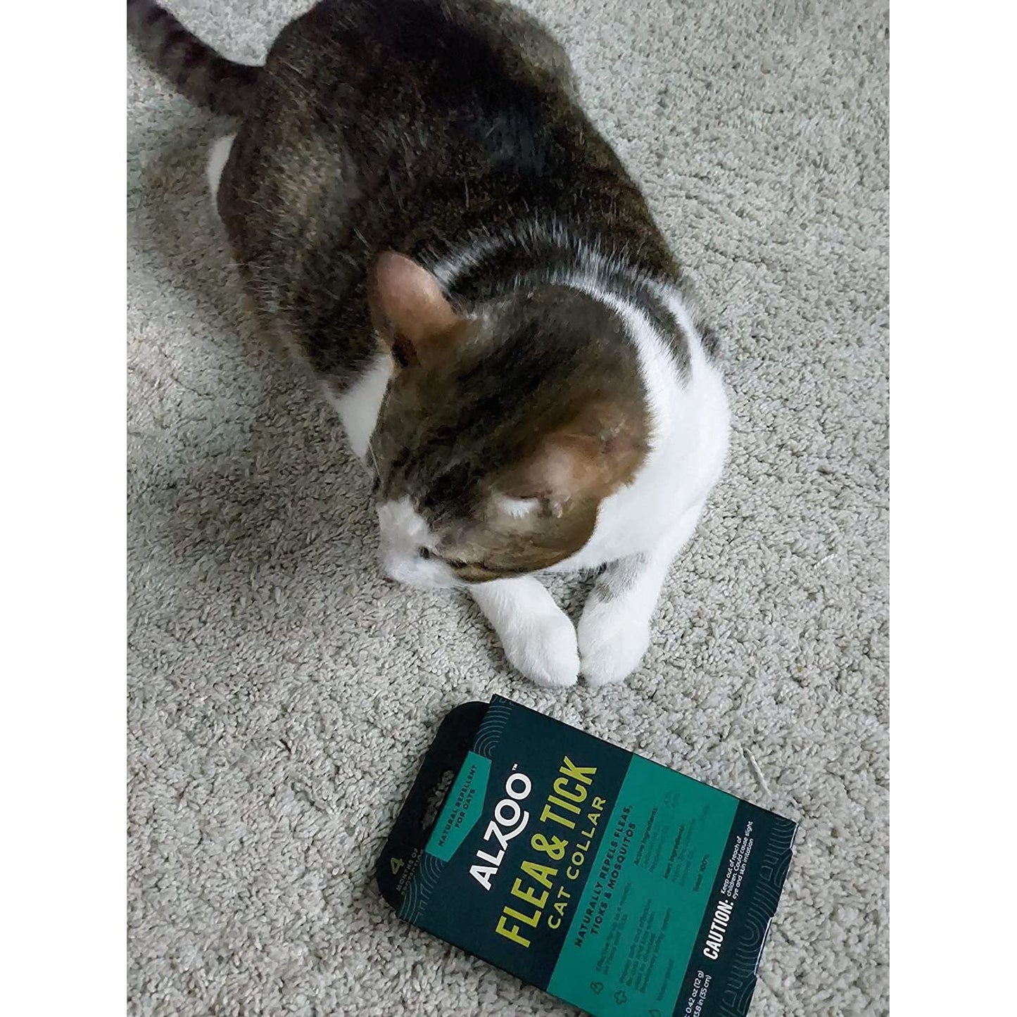 ALZOO Natural Flea & Tick Cat Collar