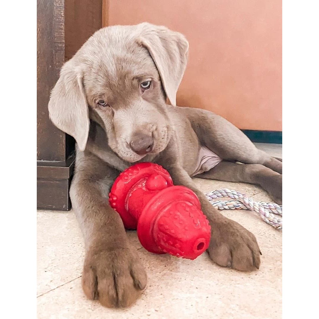 Spunky Pup The Hydrant Chew Toy & Treat Dispenser for Dogs — Small