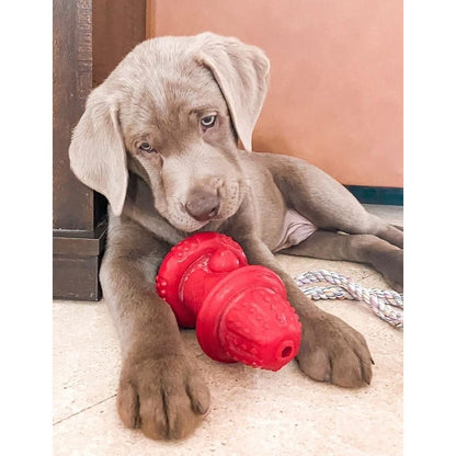 Spunky Pup The Hydrant Chew Toy & Treat Dispenser for Dogs — Small