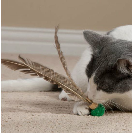 Go Cat Kitty Kopter Spinning Throw Cat Toy