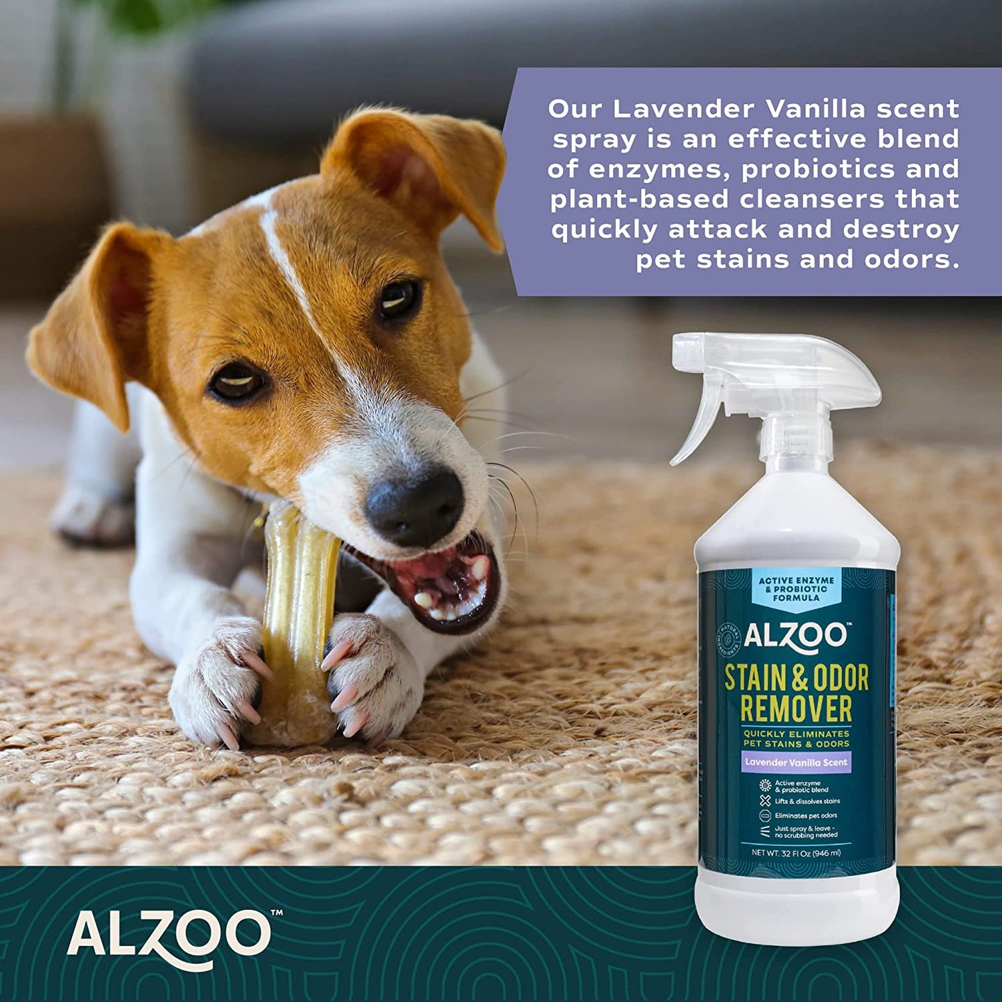 ALZOO Stain & Odor Remover Spray — Lavender Vanilla