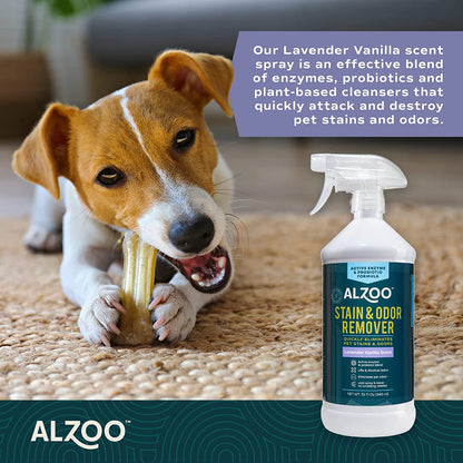 ALZOO Stain & Odor Remover Spray — Lavender Vanilla
