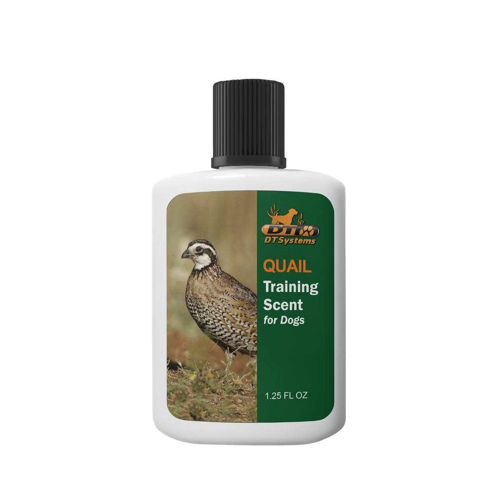 D.T. Systems Training Scent for Hunting Dogs — 1.25 oz