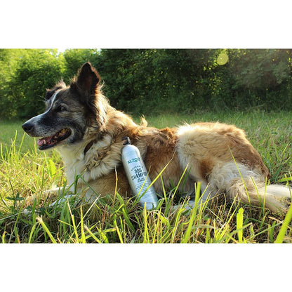 ALZOO Reusable Aluminum Dog Shampoo Bottle — 16 oz