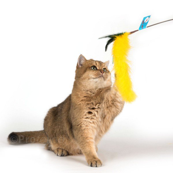 Go Cat 36" Cat Tail Cat Wand Toy