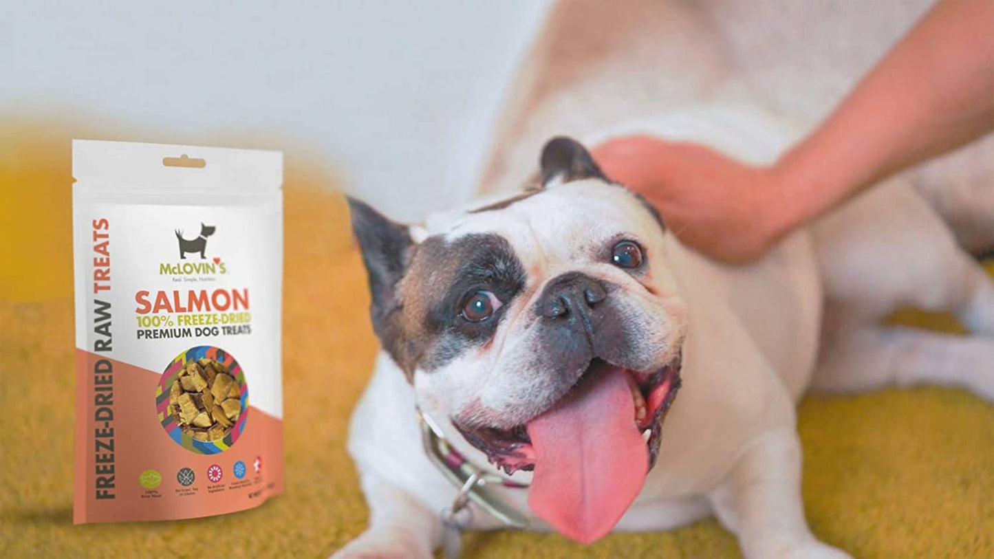 McLovin's Freeze-Dried Premium Dog Treats Salmon 2.5 oz