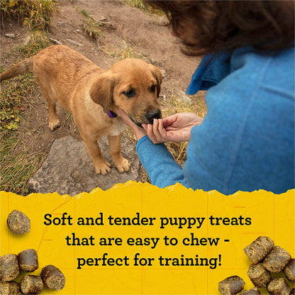 Zuke's Puppy Naturals Dog Training Treats Salmon & Chickpea Recipe 5 oz.