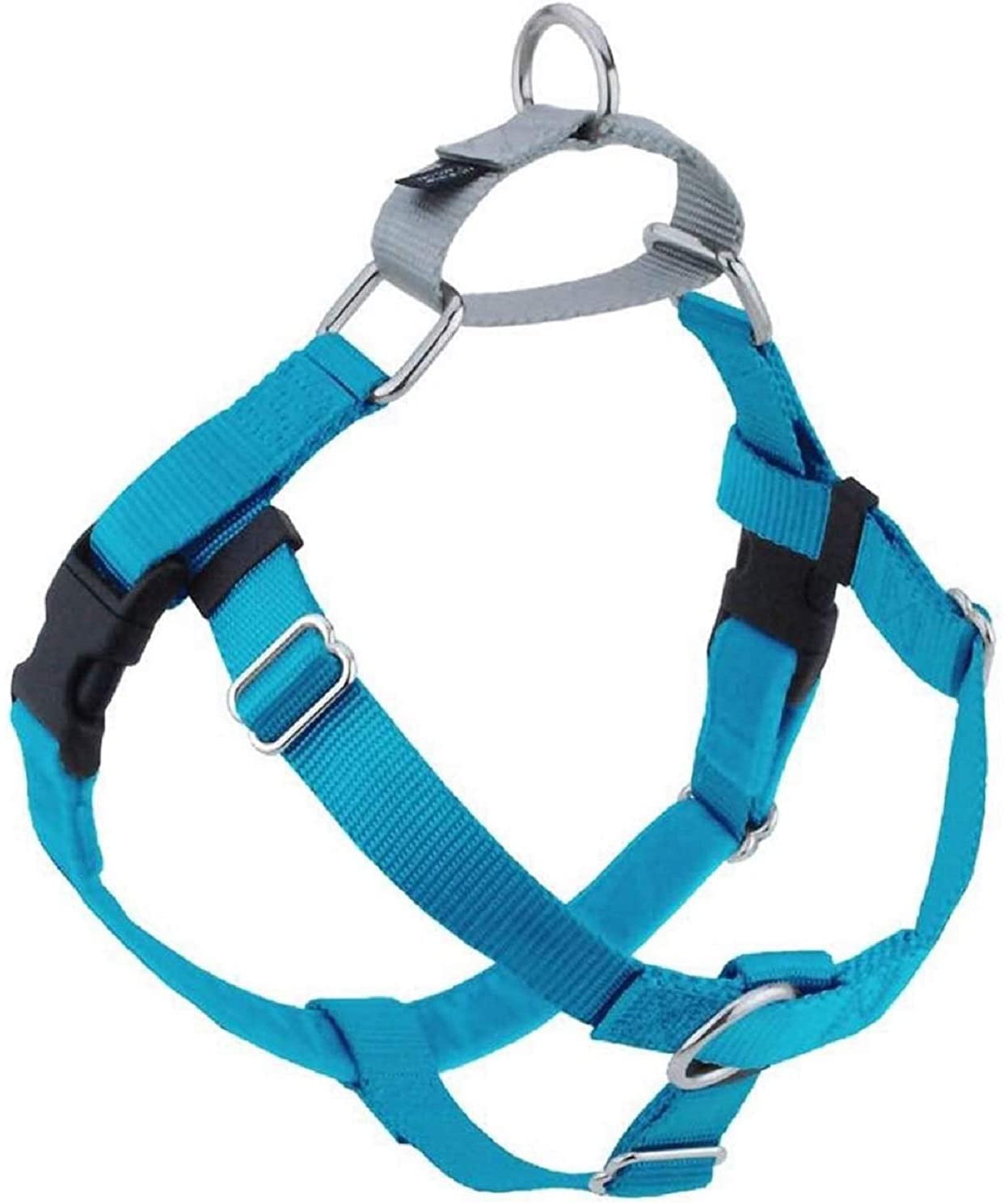 Freedom No-Pull Dog Harness Turquoise