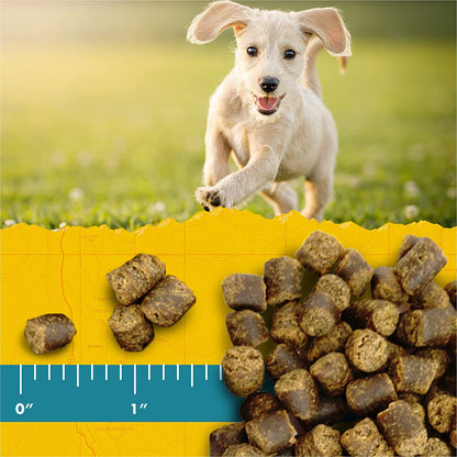 Zuke's Puppy Naturals Dog Training Treats Salmon & Chickpea Recipe 5 oz.