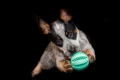 Ball-Tug-Rope-Toy.jpg