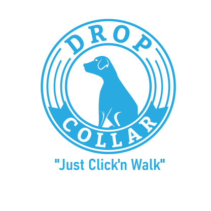 Drop Collar Natural Material Leash with Sleek D-Ring for Accessories & Soft Padded Gel Handle for Comfort (Long)