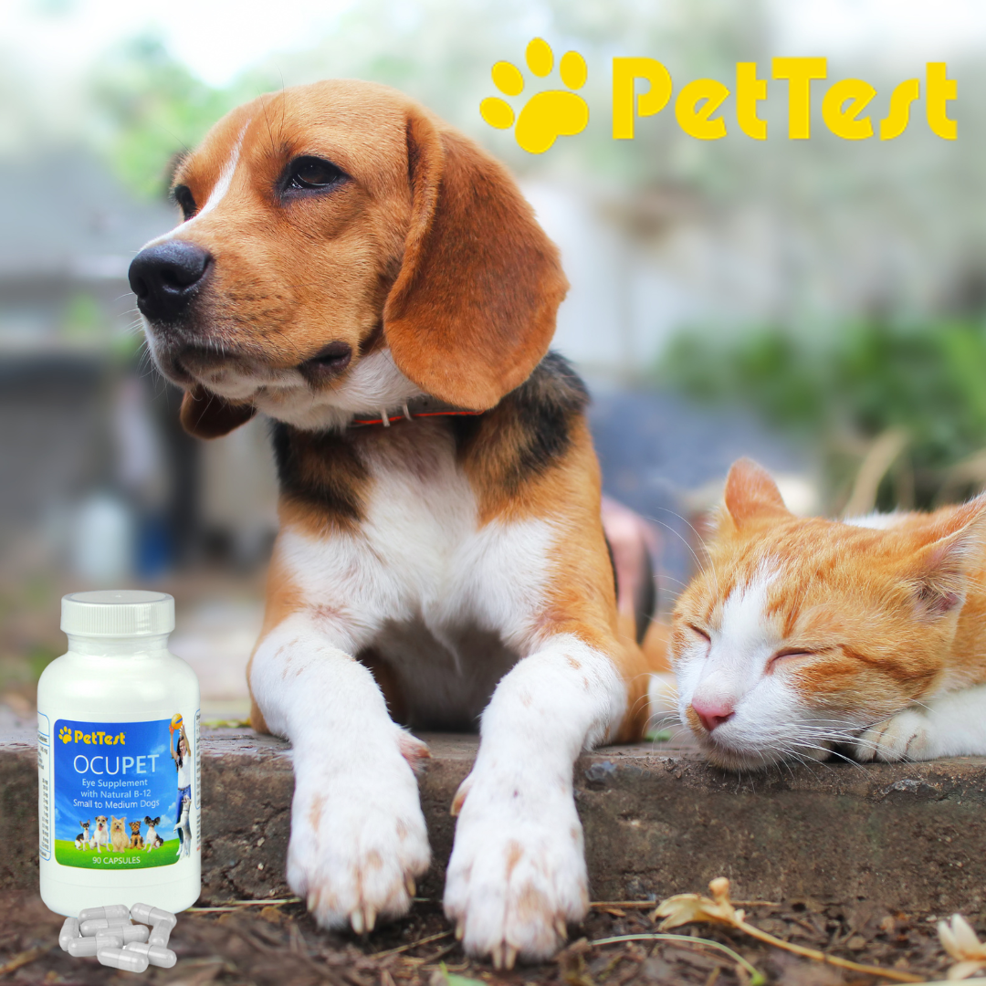 PetTest OcuPet Eye Supplement with Natural B-12 for Cats & Dogs