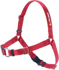 SENSE-ible® No-Pull Dog Harness