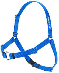 SENSE-ible® No-Pull Dog Harness