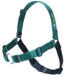 SENSE-ation® No-Pull Dog Harness