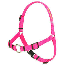 SENSE-ation® No-Pull Dog Harness