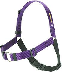 SENSE-ation® No-Pull Dog Harness