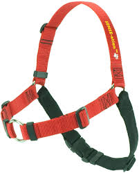 SENSE-ation® No-Pull Dog Harness