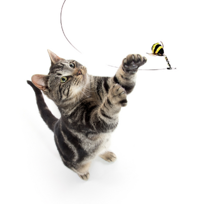 Go Cat Da Bee Cat & Kitten Wand Toy