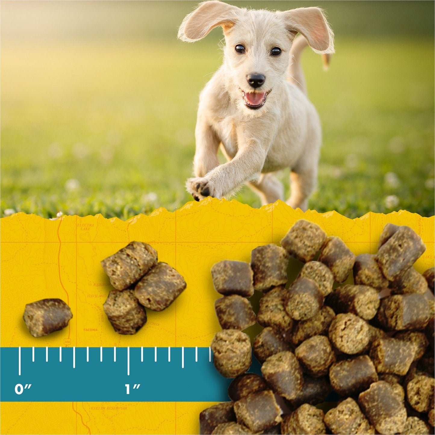 Zuke's Puppy Naturals Training Dog Treats Lamb & Chickpea Recipe 5oz.