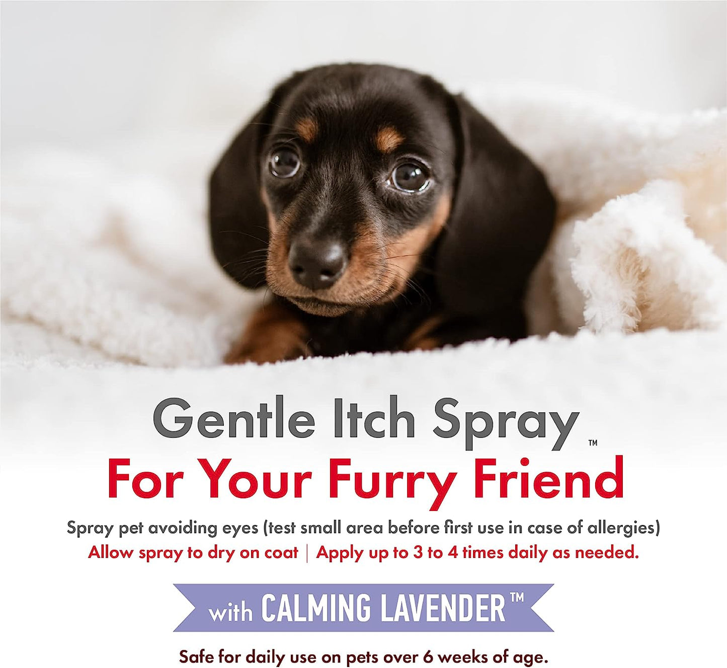 Petkin CBD Pet Itch Spray Calming Lavender