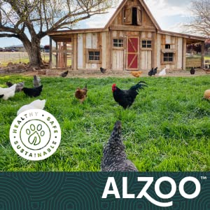 ALZOO My Fresh Coop - Evergreen Chicken Coop Deodorizer 26oz.