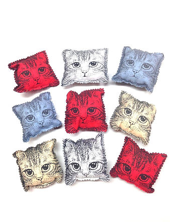 Go Cat Catnip Pillow Cat Toy