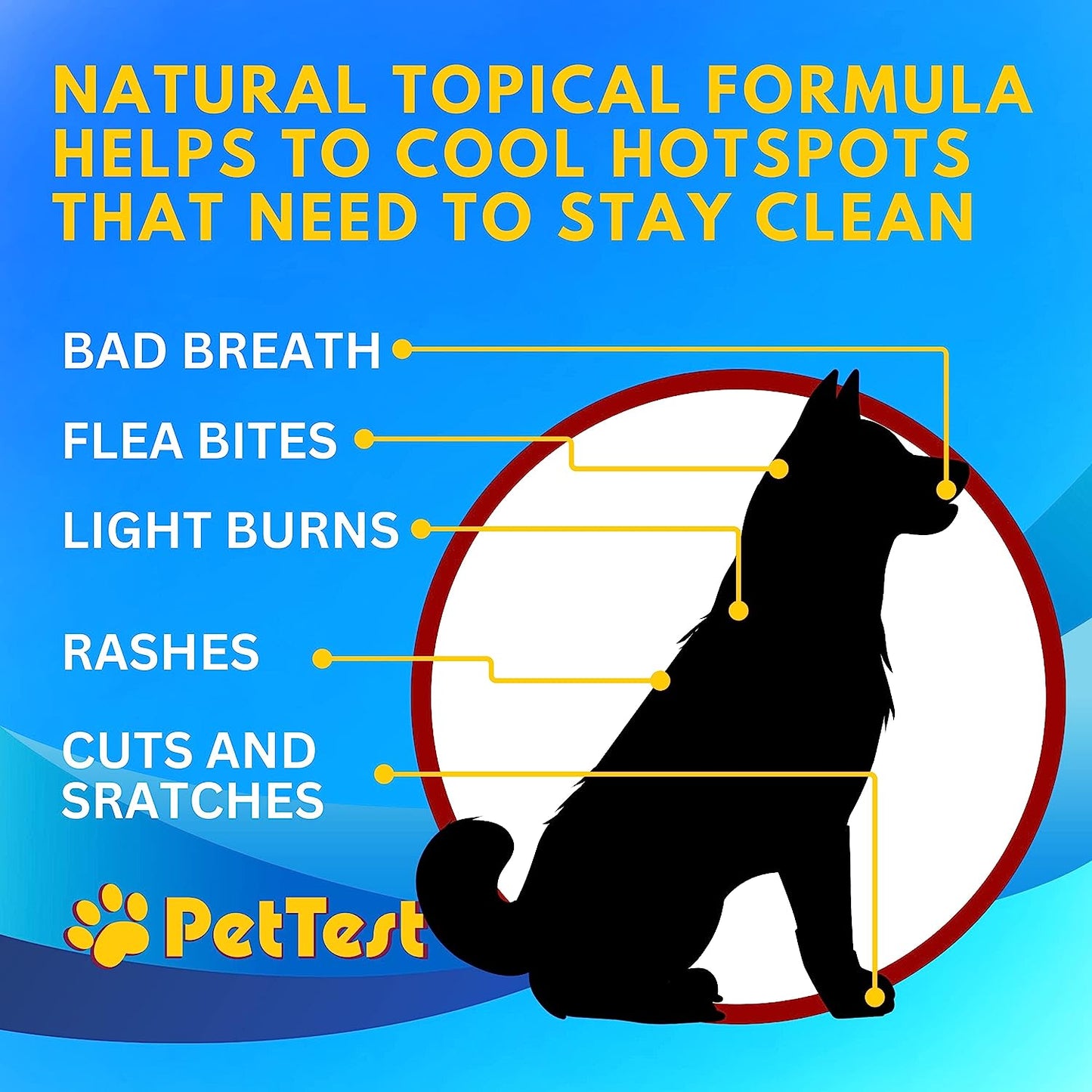 PetTest Colloidal Silver Spray for Dogs