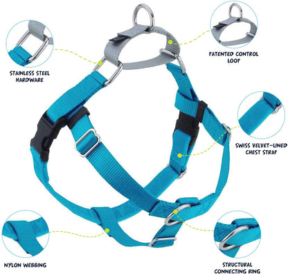 Freedom No-Pull Dog Harness Turquoise