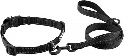 Drop Collar Reflective Nylon Dog Collar with Patent Pending Upright Leash Connection Point