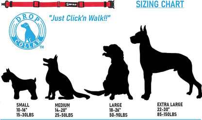 Drop Collar Reflective Nylon Dog Collar with Patent Pending Upright Leash Connection Point